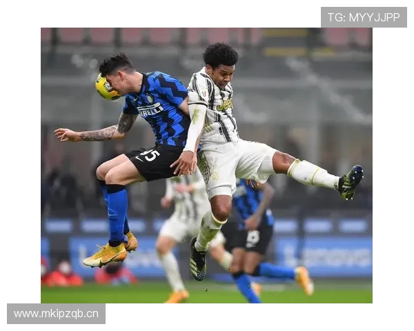 巴斯托尼：对比德利赫特——技术型与对抗型路径分化